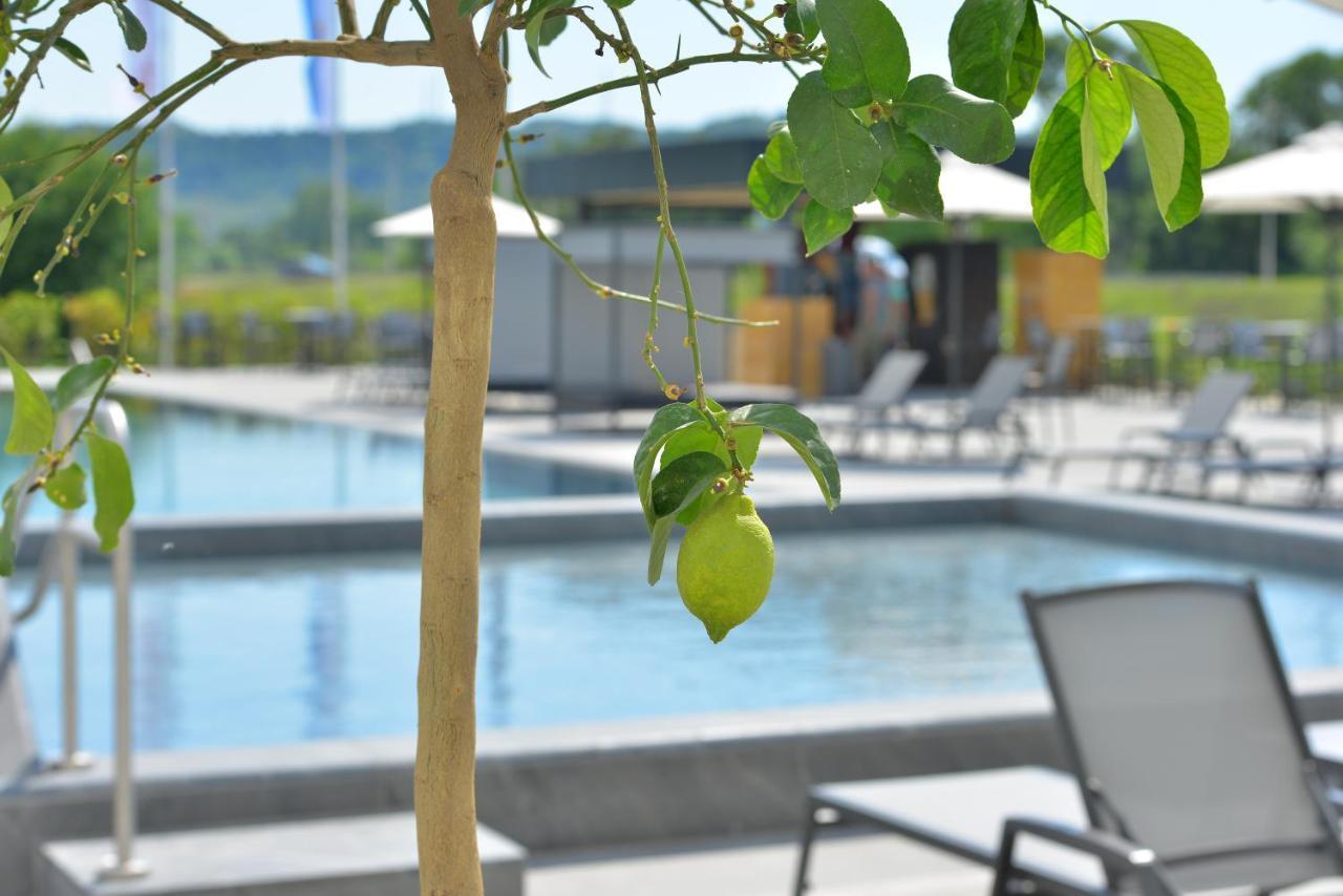 Rinas Mk Hotel Tirana מראה חיצוני תמונה The swimming pool